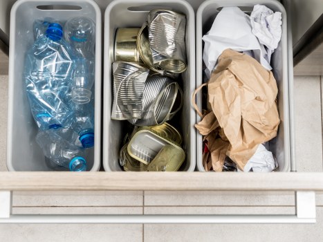 Eco-friendly waste disposal during flat clearance in Putney